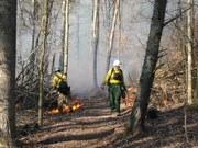 firefighters working to suppress wildland fire firefighters working to suppress wildland fire