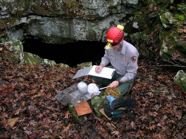 A man in NPS uniform and caving helmet writes in a notebook. Two livetraps sit next to him.