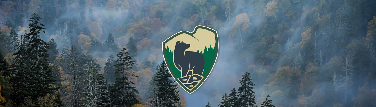 Forest with the back the bears logo up front.