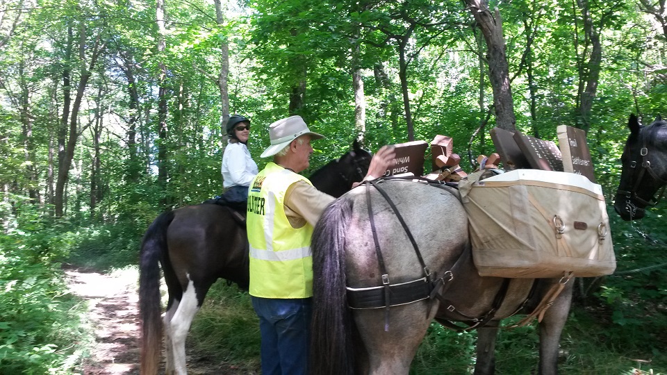 Horseman Susan Kiley and Rocky are ready to hit the trails with horseman Roy Cornett, pack horse Bullit and Blue