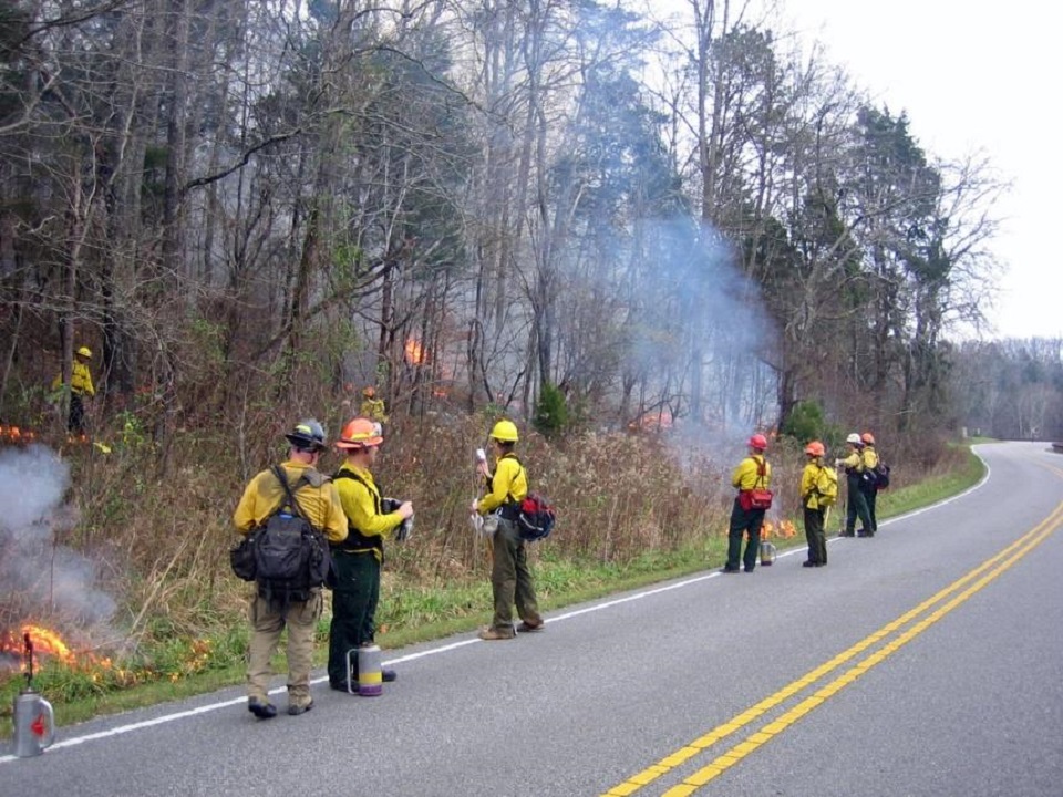 News Release Harlan Road Spring 2019 Prescribed Burn Prescribed burn at Cumberland Gap NHP