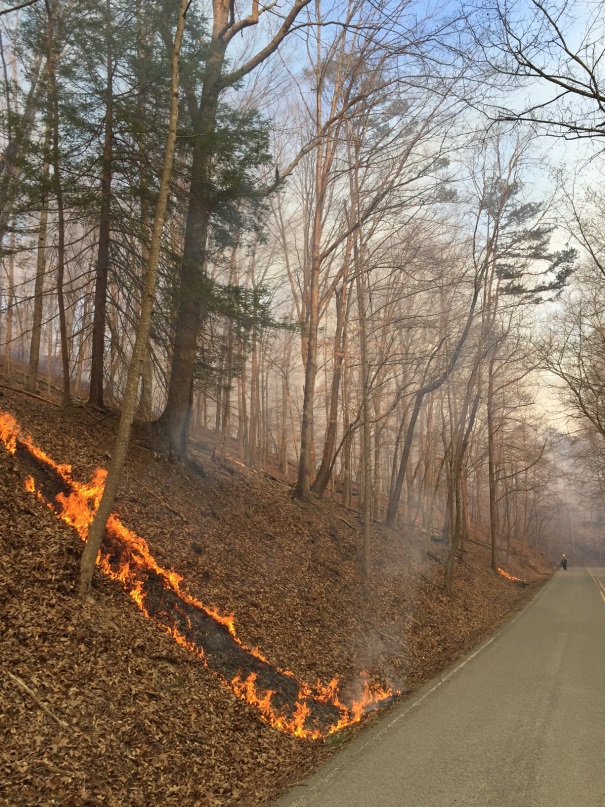 Prescribed Burn at Cumberland Gap National Historical Park