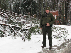 Park Ranger Ben Burns surveys damage