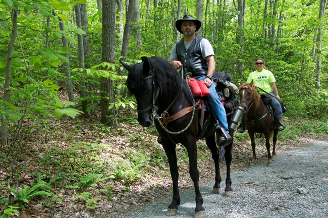 Two riders on horses