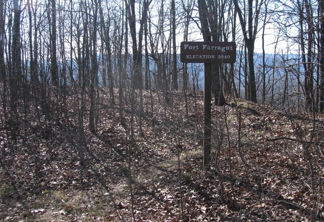 Wooded area showing a fortification