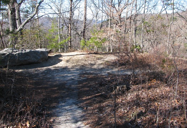 Wooded area in the woods showing an overlook