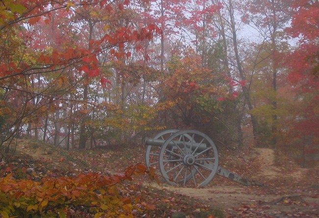 Cannon surrounded by fall leaf colors.