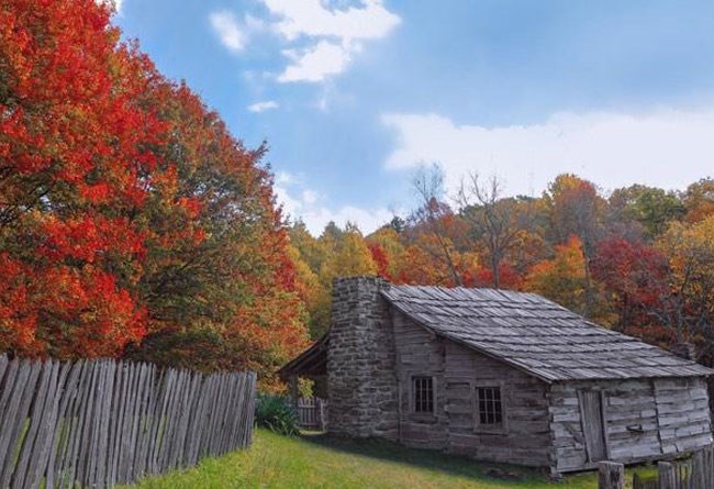 Hensley cabin with the fall around it.