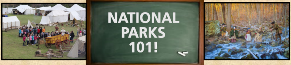 NP101 NP101