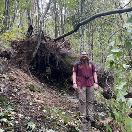 Park staff stands next to a giant root ball