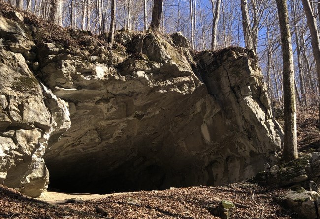 Rock formation of a cave.