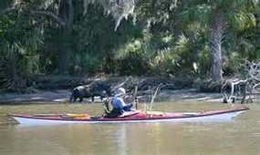 Kayaking around Cumberland Island NS Kayaking around Cumberland Island NS