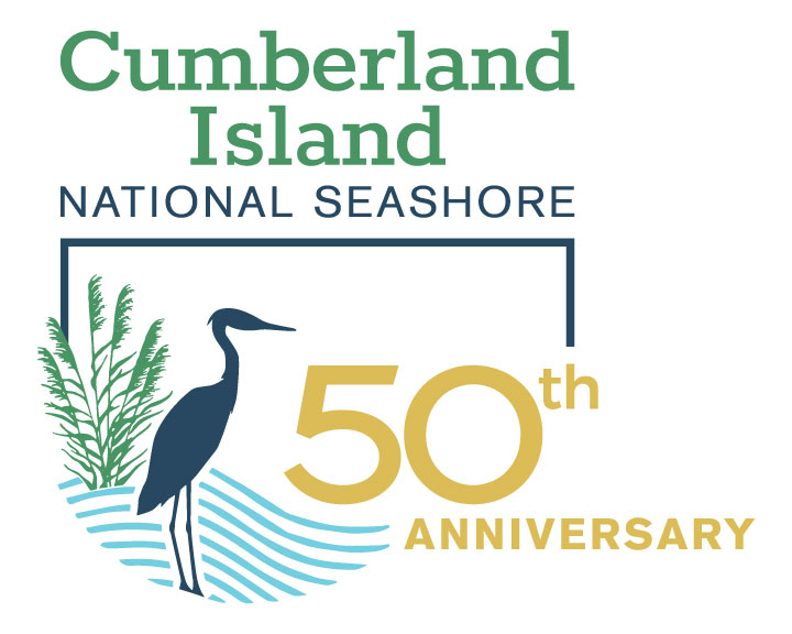 Cumberland-50th-Logo.jpg?maxwidth\u003d650\u0026autorotate\u003dfalse