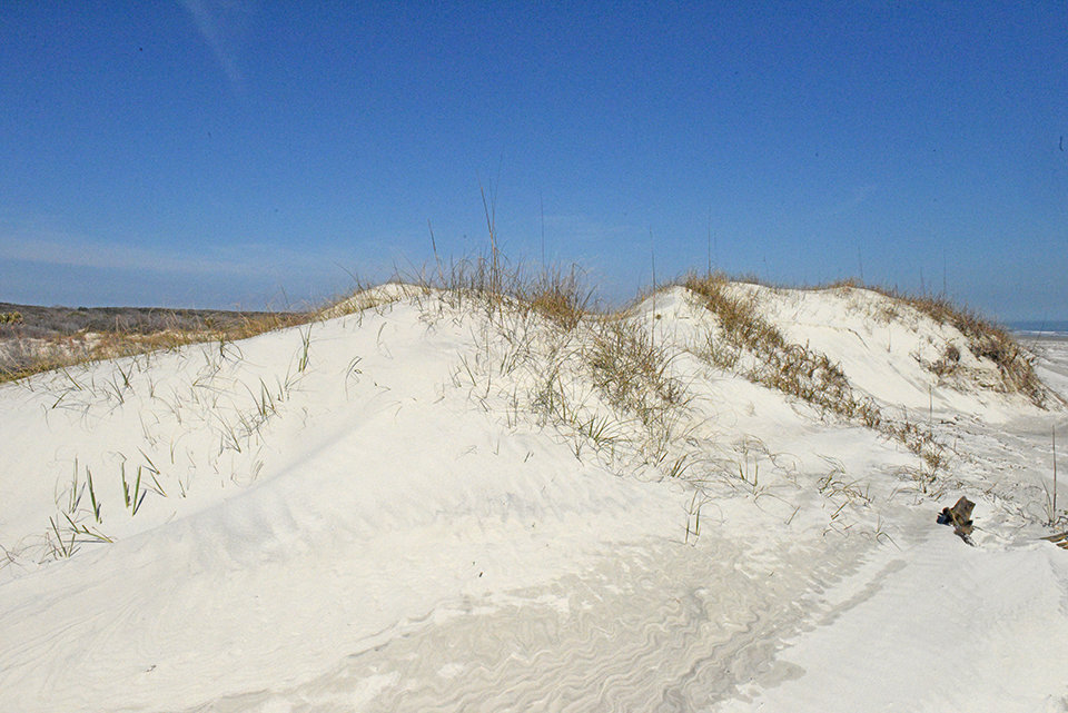 Mature sand dunes covered with sea oats