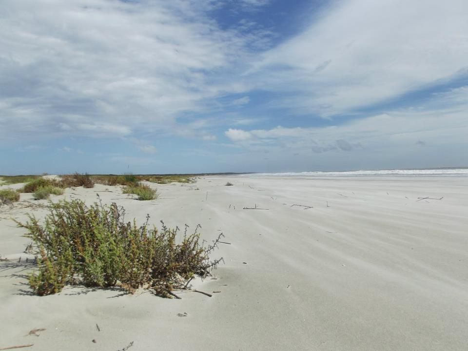 Looking along the empty beach near the high tide line