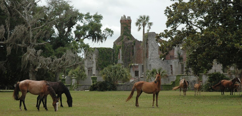 Several horses graze in front of mansion ruins