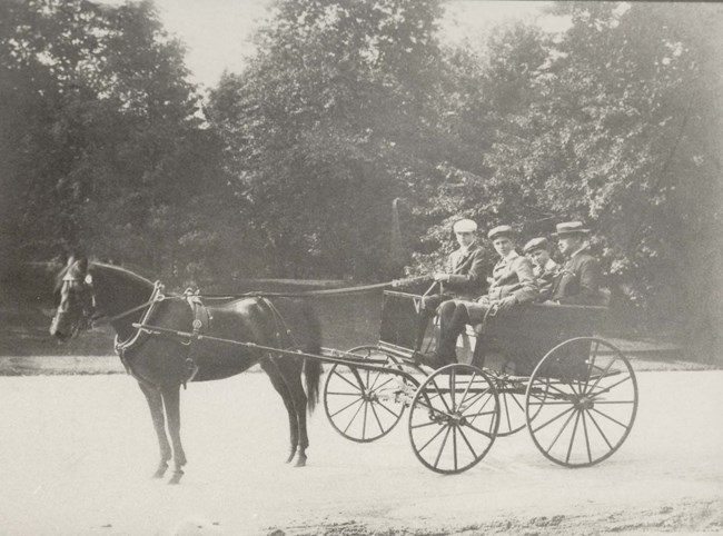 Four riders sit in a cart pulled by a single horse