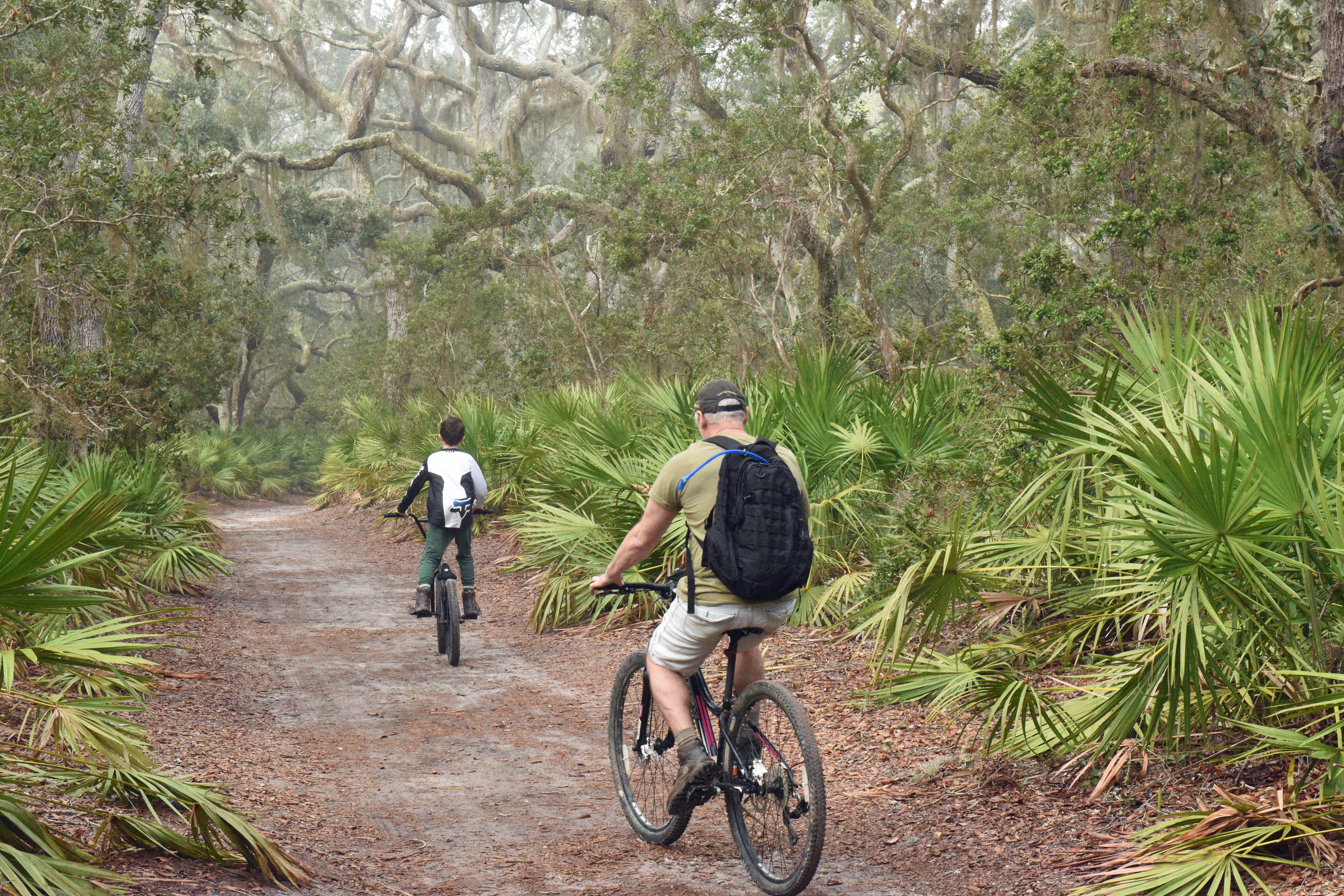 2018 Cumberland Island people bikers DSC_2035_edited-1 two bike riders on sand road under live oak canopy