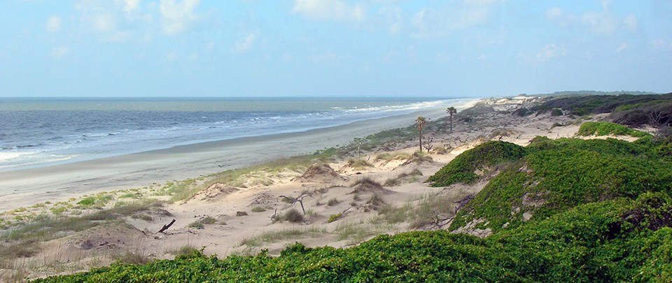 long stretch of undeveloped beach and dunes