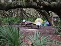 campground with tents, picnic table, and fire ring