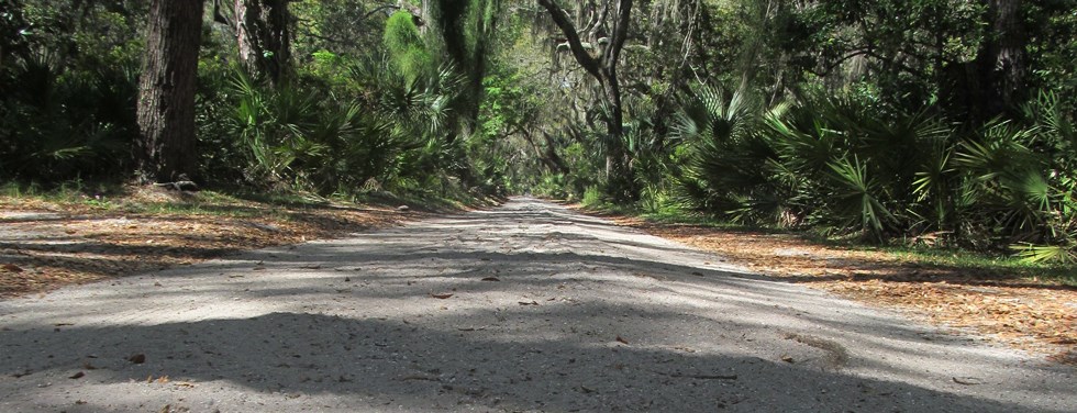 Sandy Road Surface