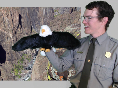 A male ranger holding a bald eagle puppet