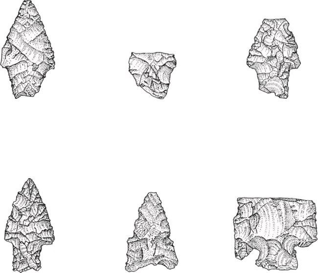 Illustrations of various projectile points and fragments found at an archeological survey site