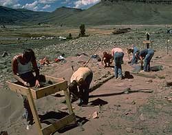 Archeologists, 1980.