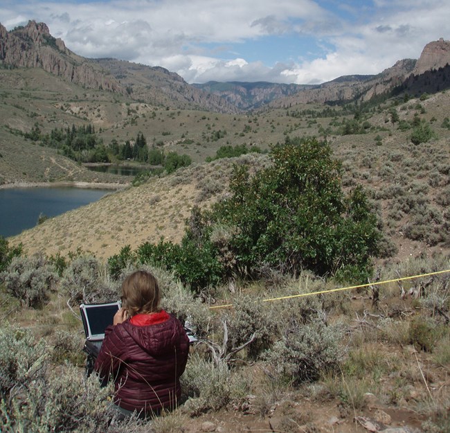 A woman sits among sagebrush on a hillside above a lake, using a ruggedized laptop computer. A transect tape is stretched out to her right.