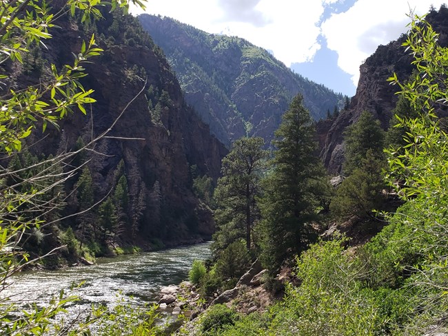 Conifer and dedicuous trees line the shore of a narrow reservoir. Trees grow along the north-facing slopes of a steep canyon across the water.