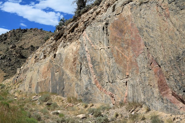 Pink and light color intrusions run diagonally across dark rock walls. Grasses and desert shrubs sare in front of and on top of the rocks.