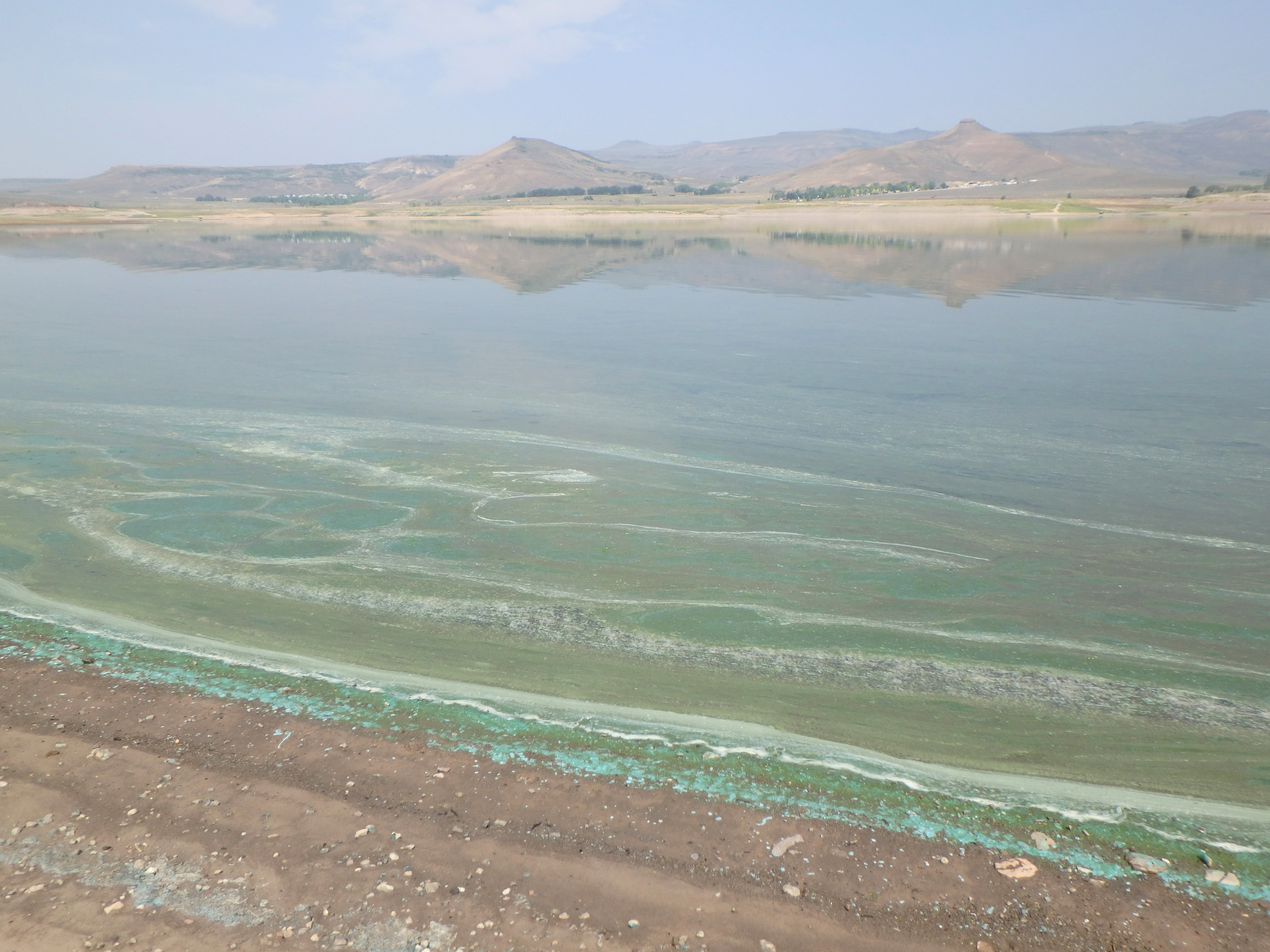 Blue-green algae has produced unsafe cyanotoxin levels in the Iola Basin.