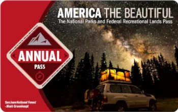 A plastic pass with red graphics and an image of a starry night sky above a forest of trees with a vehicle parked with a roof top tent.