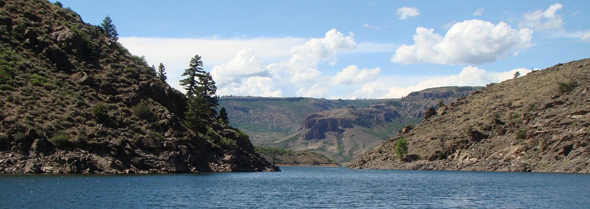 A body of blue water rests between brown and green landmasses. Pine trees and sagebrush dot the landscape. White puffy clouds fill a blue sky.