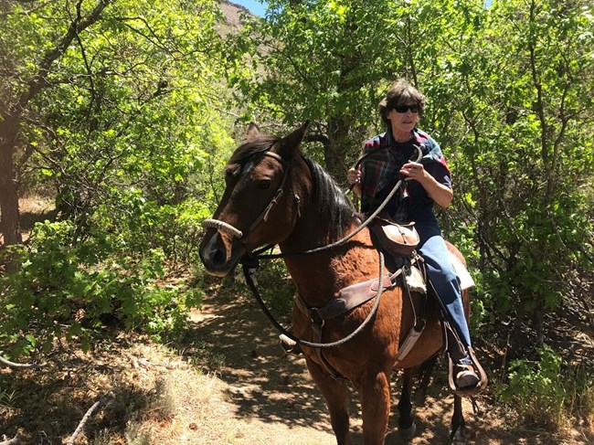 Horse and rider at Dillon Pinnacles