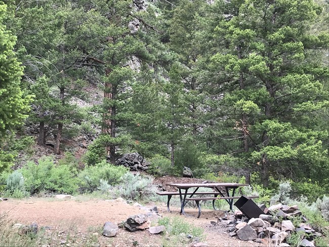 Campsite at Gateview in the fir, spruce, and pine forest.