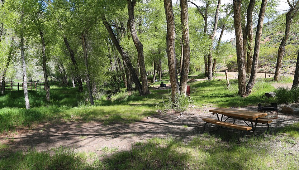 Dry Gulch Campground - Curecanti National Recreation Area (U.S ...