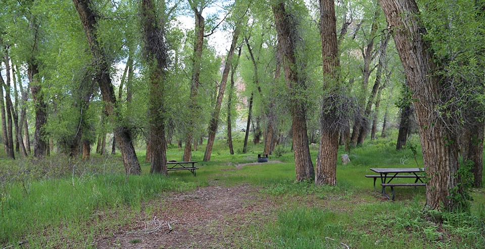 East Elk Creek Group Campground East Elk Creek Group Campground