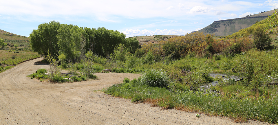 Red Creek Campground Individual Site