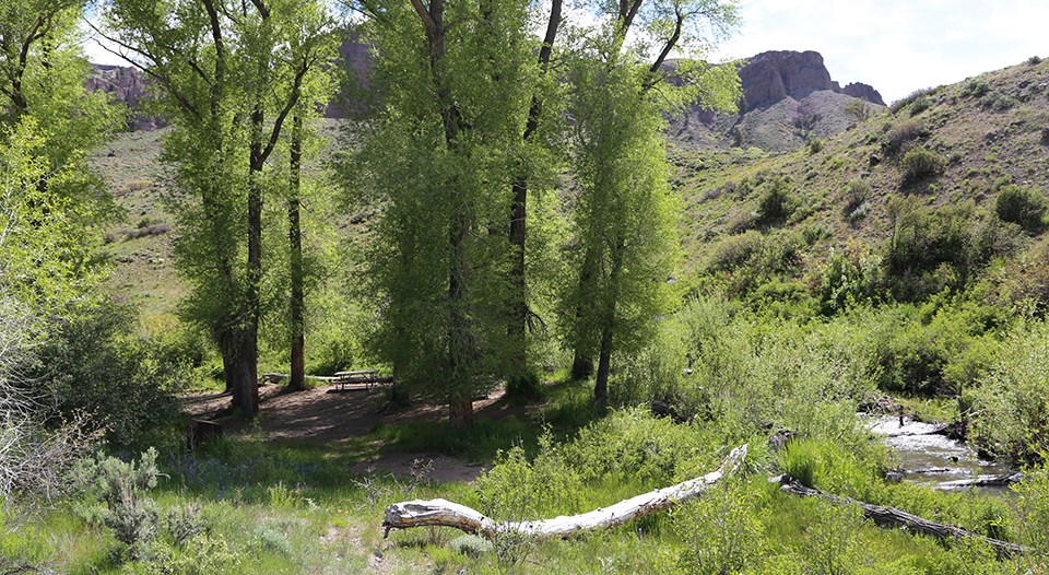 Red Creek Campground Group Site