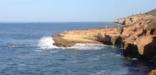 The Tidepools of Cabrillo National Monument