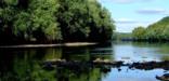 Schuylkill River