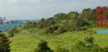 Lush vegetation on the top of Spectacle Island's North drumlin dominates the foreground. Boston's skyline can be seen in the distance.  The park's logo with tag line minutes away, worlds apart empashises the stark contrast between the city and islands.