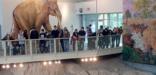Visitors enjoying a view of mammoth fossils.