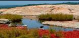 Picture credit to Arabia Mountain NHA