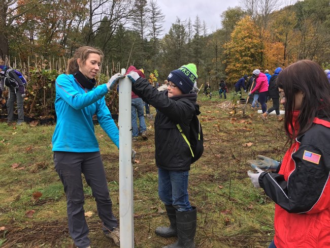 A woman in a blue shirt helps a child in black jacket install a white plastic tube around a newly planted tree.