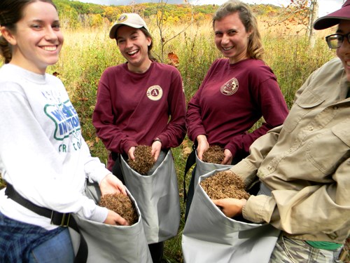 Conservancy_Sara Curtis_CVNP_Native seed collection Conservancy_Sara Curtis_CVNP_Native seed collection