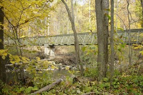 Finished bridge MIKE KOSMYNA Finished bridge MIKE KOSMYNA