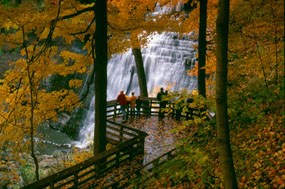 A group of people stand on a wooden boardwalk in front of a large waterfall, yellow leaves on the trees overhead.