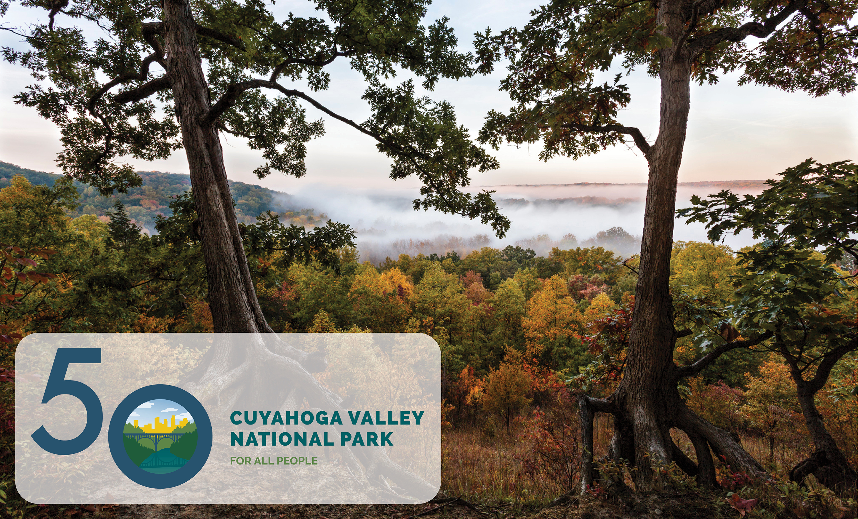 Overlook photo with logo 3000w A scenic view over the foggy valley in autumn, framed by two trees with twisted roots; blue and green logo at bottom left with the number 50 and text, "Cuyahoga Valley National Park, For All People".